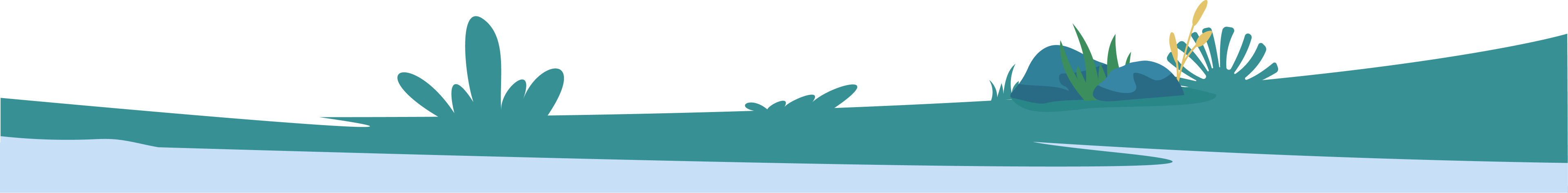 Sépérateur sections